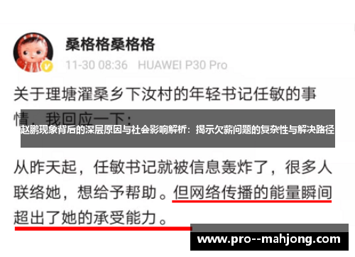 赵鹏现象背后的深层原因与社会影响解析：揭示欠薪问题的复杂性与解决路径