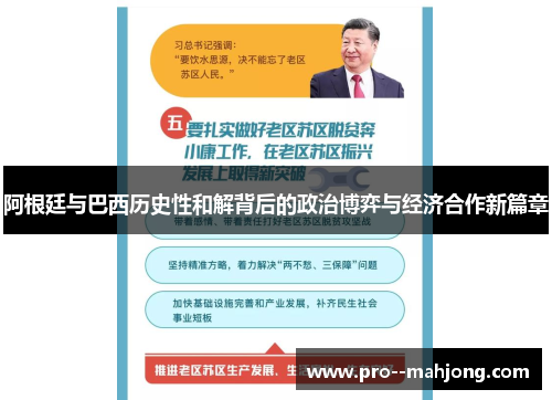 阿根廷与巴西历史性和解背后的政治博弈与经济合作新篇章