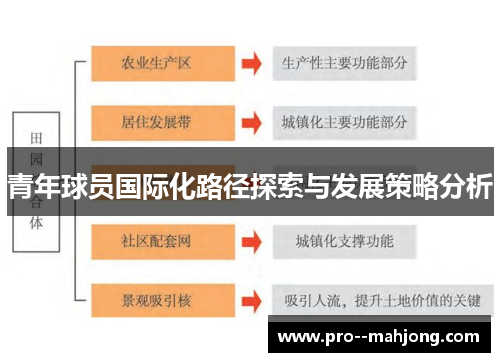 青年球员国际化路径探索与发展策略分析 青年球员国际化路径探索与发展策略分析