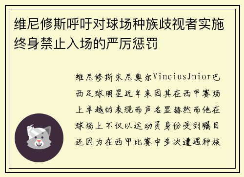 维尼修斯呼吁对球场种族歧视者实施终身禁止入场的严厉惩罚