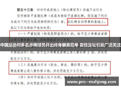 中国足协对多名涉赌球员开出终身禁赛罚单 震惊足坛引发广泛关注 中国足协对多名涉赌球员开出终身禁赛罚单 震惊足坛引发广泛关注